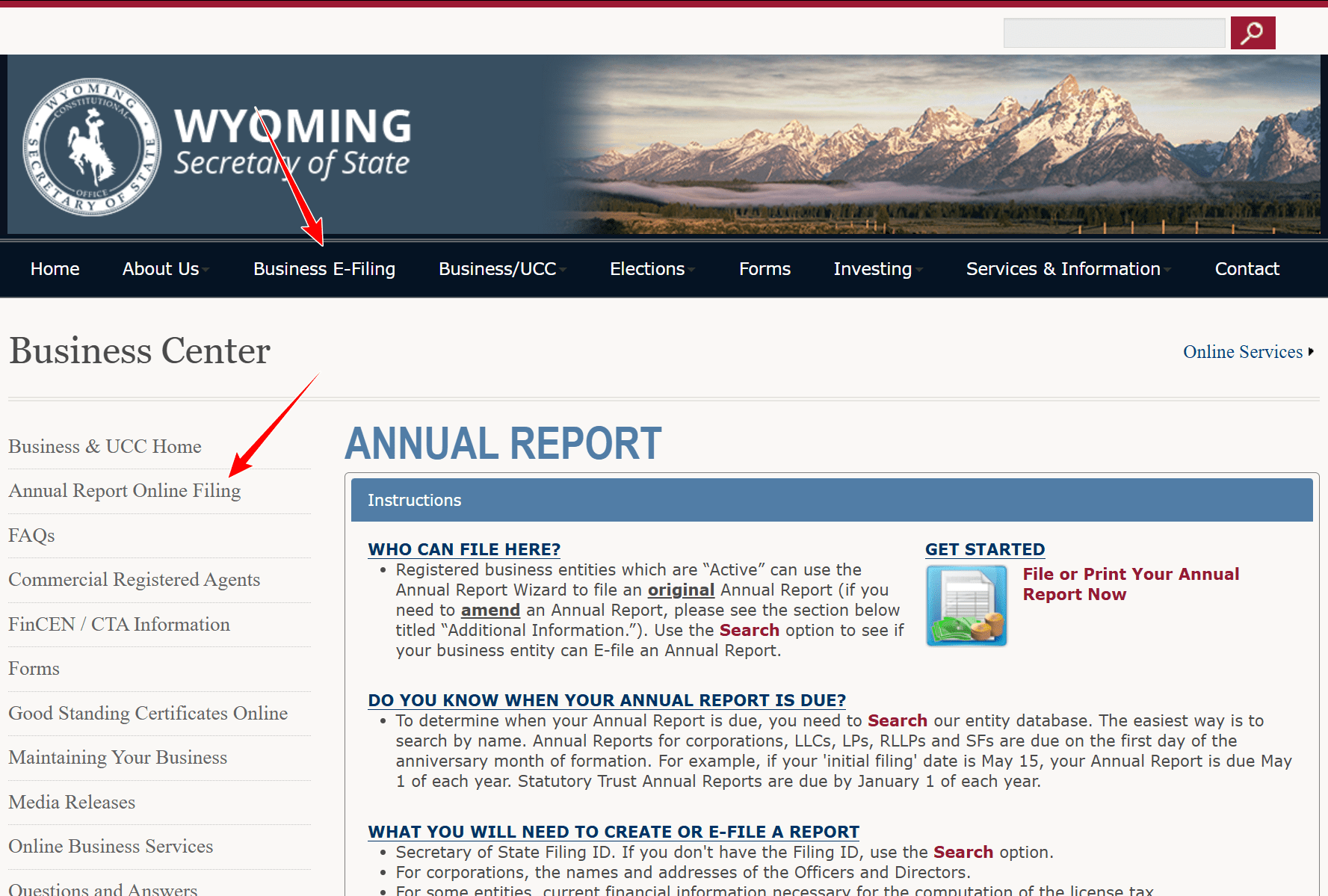 美国公司年报(年审) - 云卖家